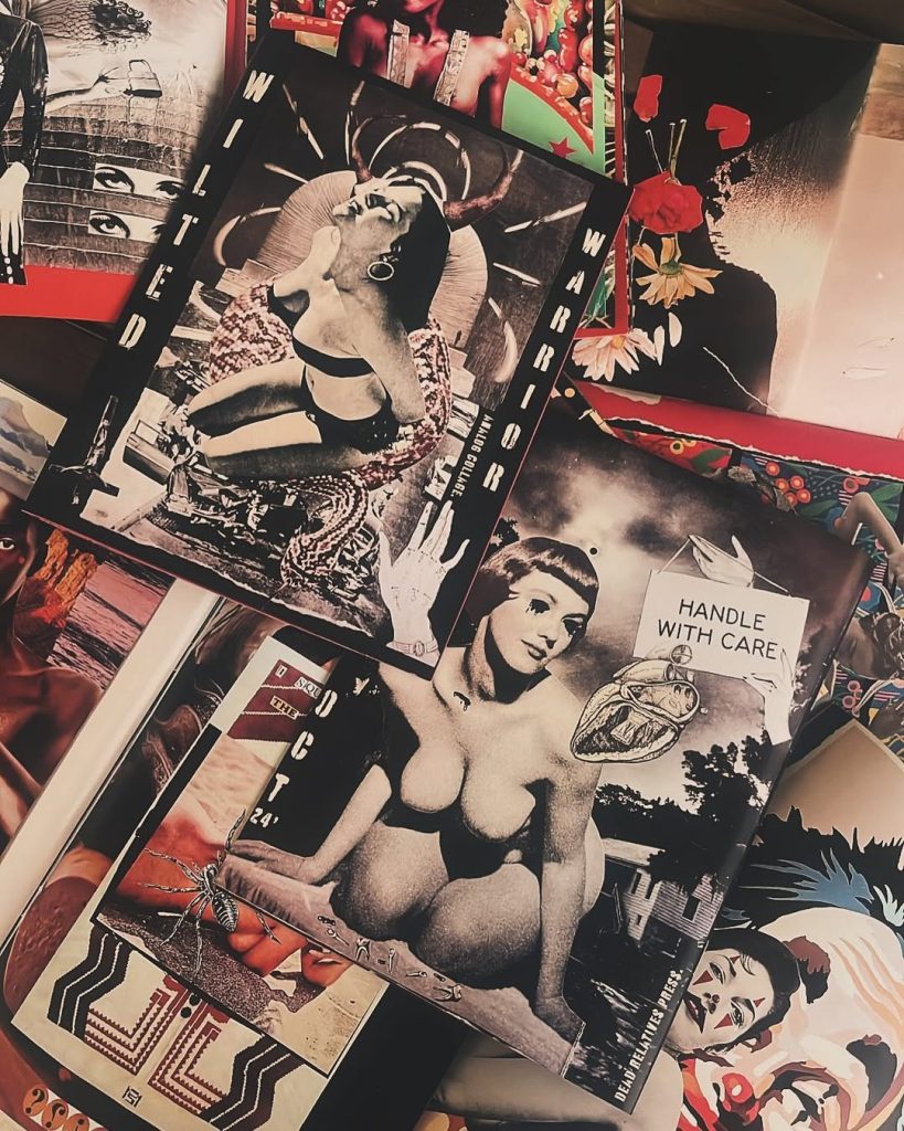 Wilted Warrior - Analog Collage Zine